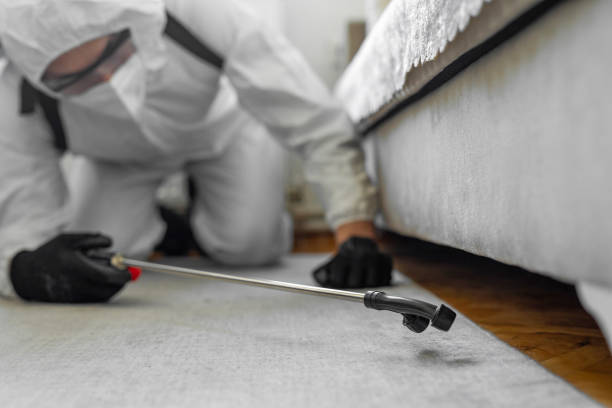 Professional Cockroach Control technician working in Pingree Grove, IL